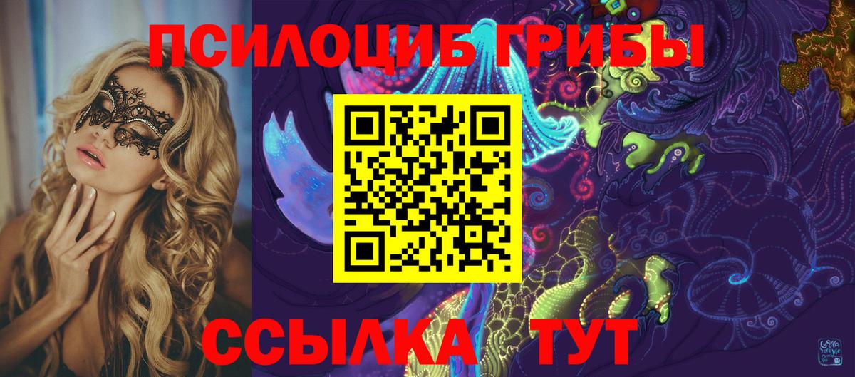 Псилоцибиновые грибы Psilocybe  как найти   Костомукша  Вход с VPN  Псилоцибиновые грибы Psilocybine cubensis 
