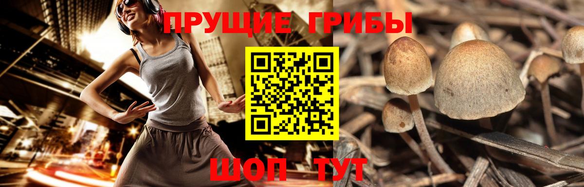 Галлюциногенные грибы мицелий Костомукша